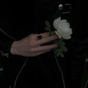 欧美亚洲偷图色综合
